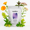 Infusion Bio Sommeil au Chanvre – 100% naturelle & apaisante