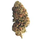 Quelles plantes peut-on fumer et pourquoi ? | Equilibre CBD