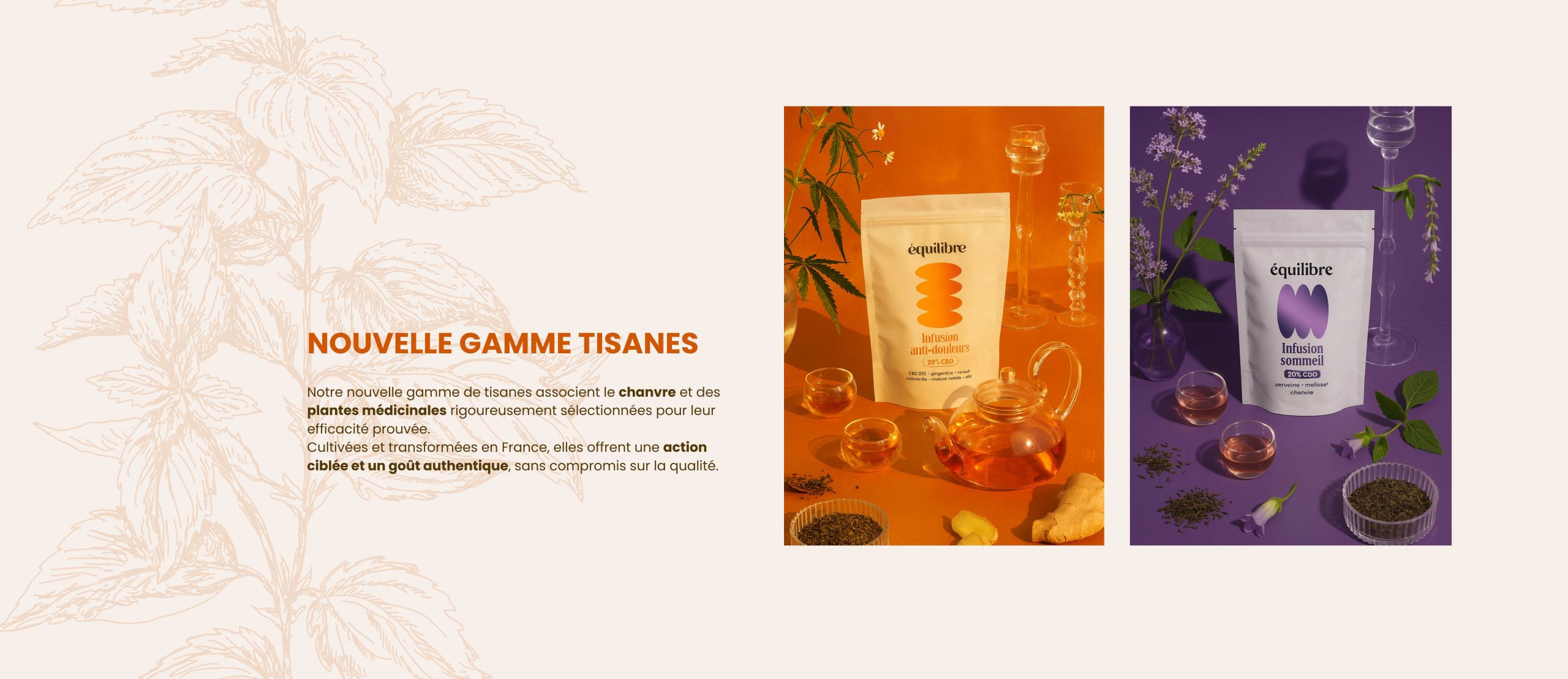 Tisanes au CBD : sommeil, stress, douleurs et cycle feminin